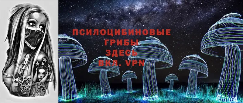 MEGA   Ивантеевка  Псилоцибиновые грибы Psilocybe 